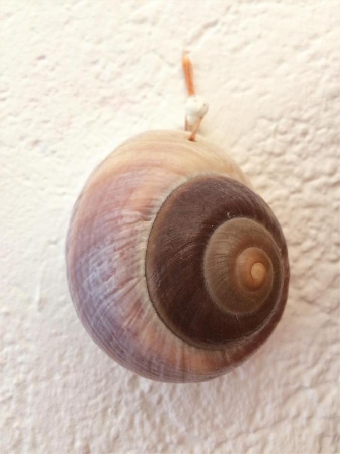 Apartament Apartman Turkesici Jablanac Zewnętrze zdjęcie